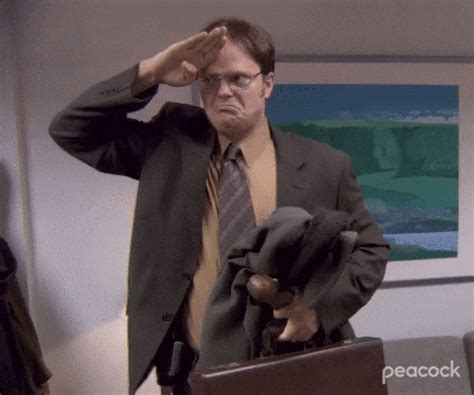 giphy the office|the office rundown gif.